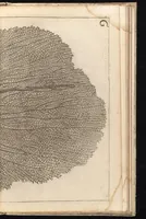 An illustration from Catalogus, sive, Recensio specialis omnium codicum manuscriptorum Graecorum, nec non linguarum orientalium, augustissimae Bibliothecae Caesareae Vindobonensis (1690)