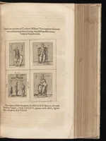 Picture 14 of 34 from Catalogus, sive, Recensio specialis omnium codicum manuscriptorum Graecorum, nec non linguarum orientalium, augustissimae Bibliothecae Caesareae Vindobonensis (1690), leaf 484