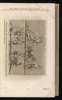 Picture 5 of 34 from Catalogus, sive, Recensio specialis omnium codicum manuscriptorum Graecorum, nec non linguarum orientalium, augustissimae Bibliothecae Caesareae Vindobonensis (1690), leaf 92