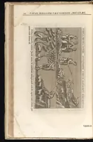 Picture 6 of 34 from Catalogus, sive, Recensio specialis omnium codicum manuscriptorum Graecorum, nec non linguarum orientalium, augustissimae Bibliothecae Caesareae Vindobonensis (1690), leaf 95