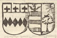 Picture 31 of 37 from Arbor genealogica gentis de Cignano, quam merito ac virtuti D. Caroli per lineam rectam eodem ex stipite descendentis (1687), leaf 48