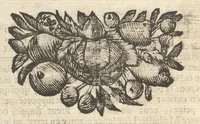 Picture 10 of 43 from Histoire metallique de la Republique de Hollande (1688), leaf 113