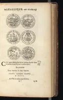Picture 20 of 43 from Histoire metallique de la Republique de Hollande (1688), leaf 250