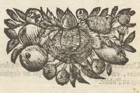 An illustration from Histoire metallique de la Republique de Hollande (1688)