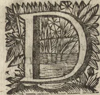 An illustration from Leven en bedryf van den vermaarden zeeheld Cornelis Tromp, graaf van Sylliesburg, ridder van den Olifant, baronnet, &c., lieutenant admiraal generaal van Holland en Westvriesland : ondermengd met de voornaamste daaden van verscheidene andere zeehoofden, en voornaamentlijk met die van Martin Harpertsz. Tromp : benevens een naauwkeurig verhaal van der Nederlanderen en hunner bondgenooten oorlogen, sedert den jaare 1650 tegens verscheidene volkeren gevoerd : voorzien met alle de noodige authentyke stukken en bewyzen, en vercierd met schoone kopere figuuren (1692)