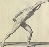 An illustration from Anatomia per uso et intelligenza del disegno : ricercata non solo su gl'ossi e muscoli del corpo humano, ma dimostrata ancora su le statue antiche più insigni di Roma, delineata in piu tauole con tutte le figure in varie faccie e vedute per istudio della Regia academia di Francia pittura e scultura (1691)