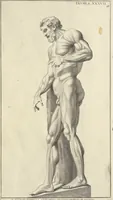 An illustration from Anatomia per uso et intelligenza del disegno : ricercata non solo su gl'ossi e muscoli del corpo humano, ma dimostrata ancora su le statue antiche più insigni di Roma, delineata in piu tauole con tutte le figure in varie faccie e vedute per istudio della Regia academia di Francia pittura e scultura (1691)