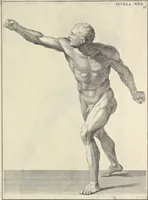Picture 42 of 51 from Anatomia per uso et intelligenza del disegno : ricercata non solo su gl'ossi e muscoli del corpo humano, ma dimostrata ancora su le statue antiche più insigni di Roma, delineata in piu tauole con tutte le figure in varie faccie e vedute per istudio della Regia academia di Francia pittura e scultura (1691), leaf 94