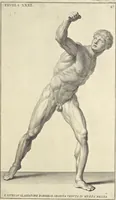 An illustration from Anatomia per uso et intelligenza del disegno : ricercata non solo su gl'ossi e muscoli del corpo humano, ma dimostrata ancora su le statue antiche più insigni di Roma, delineata in piu tauole con tutte le figure in varie faccie e vedute per istudio della Regia academia di Francia pittura e scultura (1691)