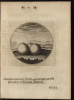 Picture 10 of 15 from Emblemata moralia (1697), leaf 104