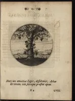 An illustration from Emblemata moralia (1697)