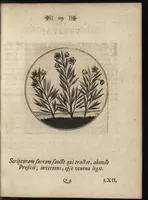 An illustration from Emblemata moralia (1697)