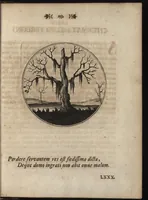 Picture 15 of 15 from Emblemata moralia (1697), leaf 168