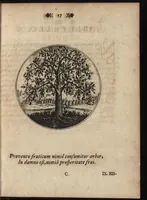 An illustration from Emblemata moralia (1697)