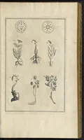An illustration from Superstitions anciennes et modernes : prejugés vulgaires qui ont induit les peuples à des usages et à des pratiques contraires à la religion (1733)