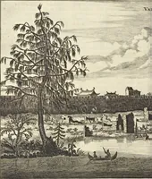 Picture 48 of 190 from Het gezandtschap der Neêrlandtsche Oost-Indische Compagnie, aan den grooten Tartarischen Cham, den tegenwoordigen keizer van China : waar in de gedenkwaerdigste geschiedenissen, die onder het reizen door de Sineesche landtschappen, Quantung, Kiangsi, Nanking, Xantung en Peking, en aan het keizerlyke hof te Peking, zedert den jaare 1655 tot 1657 zyn voorgevallen, op het bondigste verhandelt worden : beneffens een naauwkeurige beschryvinge der Sineesche steden, dorpen, regeering, weetenschappen, handwerken, zeden, godsdiensten, gebouwen, drachten, scheepen, bergen, gewaffen, dieren, &c. en oorlogen tegen de Tarters : verçiert met over de 150 afbeeldtsels, na 't leven in Sina (1693), leaf 135
