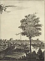 An illustration from Het gezandtschap der Neêrlandtsche Oost-Indische Compagnie, aan den grooten Tartarischen Cham, den tegenwoordigen keizer van China : waar in de gedenkwaerdigste geschiedenissen, die onder het reizen door de Sineesche landtschappen, Quantung, Kiangsi, Nanking, Xantung en Peking, en aan het keizerlyke hof te Peking, zedert den jaare 1655 tot 1657 zyn voorgevallen, op het bondigste verhandelt worden : beneffens een naauwkeurige beschryvinge der Sineesche steden, dorpen, regeering, weetenschappen, handwerken, zeden, godsdiensten, gebouwen, drachten, scheepen, bergen, gewaffen, dieren, &c. en oorlogen tegen de Tarters : verçiert met over de 150 afbeeldtsels, na 't leven in Sina (1693)