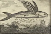 An illustration from Het gezandtschap der Neêrlandtsche Oost-Indische Compagnie, aan den grooten Tartarischen Cham, den tegenwoordigen keizer van China : waar in de gedenkwaerdigste geschiedenissen, die onder het reizen door de Sineesche landtschappen, Quantung, Kiangsi, Nanking, Xantung en Peking, en aan het keizerlyke hof te Peking, zedert den jaare 1655 tot 1657 zyn voorgevallen, op het bondigste verhandelt worden : beneffens een naauwkeurige beschryvinge der Sineesche steden, dorpen, regeering, weetenschappen, handwerken, zeden, godsdiensten, gebouwen, drachten, scheepen, bergen, gewaffen, dieren, &c. en oorlogen tegen de Tarters : verçiert met over de 150 afbeeldtsels, na 't leven in Sina (1693)