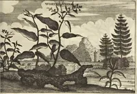 An illustration from Het gezandtschap der Neêrlandtsche Oost-Indische Compagnie, aan den grooten Tartarischen Cham, den tegenwoordigen keizer van China : waar in de gedenkwaerdigste geschiedenissen, die onder het reizen door de Sineesche landtschappen, Quantung, Kiangsi, Nanking, Xantung en Peking, en aan het keizerlyke hof te Peking, zedert den jaare 1655 tot 1657 zyn voorgevallen, op het bondigste verhandelt worden : beneffens een naauwkeurige beschryvinge der Sineesche steden, dorpen, regeering, weetenschappen, handwerken, zeden, godsdiensten, gebouwen, drachten, scheepen, bergen, gewaffen, dieren, &c. en oorlogen tegen de Tarters : verçiert met over de 150 afbeeldtsels, na 't leven in Sina (1693)