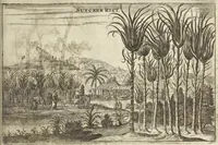 An illustration from Het gezandtschap der Neêrlandtsche Oost-Indische Compagnie, aan den grooten Tartarischen Cham, den tegenwoordigen keizer van China : waar in de gedenkwaerdigste geschiedenissen, die onder het reizen door de Sineesche landtschappen, Quantung, Kiangsi, Nanking, Xantung en Peking, en aan het keizerlyke hof te Peking, zedert den jaare 1655 tot 1657 zyn voorgevallen, op het bondigste verhandelt worden : beneffens een naauwkeurige beschryvinge der Sineesche steden, dorpen, regeering, weetenschappen, handwerken, zeden, godsdiensten, gebouwen, drachten, scheepen, bergen, gewaffen, dieren, &c. en oorlogen tegen de Tarters : verçiert met over de 150 afbeeldtsels, na 't leven in Sina (1693)