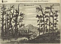 Picture 169 of 190 from Het gezandtschap der Neêrlandtsche Oost-Indische Compagnie, aan den grooten Tartarischen Cham, den tegenwoordigen keizer van China : waar in de gedenkwaerdigste geschiedenissen, die onder het reizen door de Sineesche landtschappen, Quantung, Kiangsi, Nanking, Xantung en Peking, en aan het keizerlyke hof te Peking, zedert den jaare 1655 tot 1657 zyn voorgevallen, op het bondigste verhandelt worden : beneffens een naauwkeurige beschryvinge der Sineesche steden, dorpen, regeering, weetenschappen, handwerken, zeden, godsdiensten, gebouwen, drachten, scheepen, bergen, gewaffen, dieren, &c. en oorlogen tegen de Tarters : verçiert met over de 150 afbeeldtsels, na 't leven in Sina (1693), leaf 485