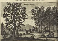 An illustration from Het gezandtschap der Neêrlandtsche Oost-Indische Compagnie, aan den grooten Tartarischen Cham, den tegenwoordigen keizer van China : waar in de gedenkwaerdigste geschiedenissen, die onder het reizen door de Sineesche landtschappen, Quantung, Kiangsi, Nanking, Xantung en Peking, en aan het keizerlyke hof te Peking, zedert den jaare 1655 tot 1657 zyn voorgevallen, op het bondigste verhandelt worden : beneffens een naauwkeurige beschryvinge der Sineesche steden, dorpen, regeering, weetenschappen, handwerken, zeden, godsdiensten, gebouwen, drachten, scheepen, bergen, gewaffen, dieren, &c. en oorlogen tegen de Tarters : verçiert met over de 150 afbeeldtsels, na 't leven in Sina (1693)