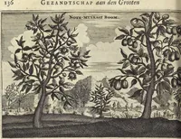 An illustration from Het gezandtschap der Neêrlandtsche Oost-Indische Compagnie, aan den grooten Tartarischen Cham, den tegenwoordigen keizer van China : waar in de gedenkwaerdigste geschiedenissen, die onder het reizen door de Sineesche landtschappen, Quantung, Kiangsi, Nanking, Xantung en Peking, en aan het keizerlyke hof te Peking, zedert den jaare 1655 tot 1657 zyn voorgevallen, op het bondigste verhandelt worden : beneffens een naauwkeurige beschryvinge der Sineesche steden, dorpen, regeering, weetenschappen, handwerken, zeden, godsdiensten, gebouwen, drachten, scheepen, bergen, gewaffen, dieren, &c. en oorlogen tegen de Tarters : verçiert met over de 150 afbeeldtsels, na 't leven in Sina (1693)