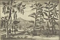 An illustration from Het gezandtschap der Neêrlandtsche Oost-Indische Compagnie, aan den grooten Tartarischen Cham, den tegenwoordigen keizer van China : waar in de gedenkwaerdigste geschiedenissen, die onder het reizen door de Sineesche landtschappen, Quantung, Kiangsi, Nanking, Xantung en Peking, en aan het keizerlyke hof te Peking, zedert den jaare 1655 tot 1657 zyn voorgevallen, op het bondigste verhandelt worden : beneffens een naauwkeurige beschryvinge der Sineesche steden, dorpen, regeering, weetenschappen, handwerken, zeden, godsdiensten, gebouwen, drachten, scheepen, bergen, gewaffen, dieren, &c. en oorlogen tegen de Tarters : verçiert met over de 150 afbeeldtsels, na 't leven in Sina (1693)