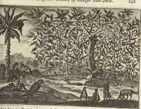 An illustration from Het gezandtschap der Neêrlandtsche Oost-Indische Compagnie, aan den grooten Tartarischen Cham, den tegenwoordigen keizer van China : waar in de gedenkwaerdigste geschiedenissen, die onder het reizen door de Sineesche landtschappen, Quantung, Kiangsi, Nanking, Xantung en Peking, en aan het keizerlyke hof te Peking, zedert den jaare 1655 tot 1657 zyn voorgevallen, op het bondigste verhandelt worden : beneffens een naauwkeurige beschryvinge der Sineesche steden, dorpen, regeering, weetenschappen, handwerken, zeden, godsdiensten, gebouwen, drachten, scheepen, bergen, gewaffen, dieren, &c. en oorlogen tegen de Tarters : verçiert met over de 150 afbeeldtsels, na 't leven in Sina (1693)