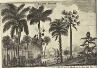 An illustration from Het gezandtschap der Neêrlandtsche Oost-Indische Compagnie, aan den grooten Tartarischen Cham, den tegenwoordigen keizer van China : waar in de gedenkwaerdigste geschiedenissen, die onder het reizen door de Sineesche landtschappen, Quantung, Kiangsi, Nanking, Xantung en Peking, en aan het keizerlyke hof te Peking, zedert den jaare 1655 tot 1657 zyn voorgevallen, op het bondigste verhandelt worden : beneffens een naauwkeurige beschryvinge der Sineesche steden, dorpen, regeering, weetenschappen, handwerken, zeden, godsdiensten, gebouwen, drachten, scheepen, bergen, gewaffen, dieren, &c. en oorlogen tegen de Tarters : verçiert met over de 150 afbeeldtsels, na 't leven in Sina (1693)