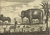 Picture 180 of 190 from Het gezandtschap der Neêrlandtsche Oost-Indische Compagnie, aan den grooten Tartarischen Cham, den tegenwoordigen keizer van China : waar in de gedenkwaerdigste geschiedenissen, die onder het reizen door de Sineesche landtschappen, Quantung, Kiangsi, Nanking, Xantung en Peking, en aan het keizerlyke hof te Peking, zedert den jaare 1655 tot 1657 zyn voorgevallen, op het bondigste verhandelt worden : beneffens een naauwkeurige beschryvinge der Sineesche steden, dorpen, regeering, weetenschappen, handwerken, zeden, godsdiensten, gebouwen, drachten, scheepen, bergen, gewaffen, dieren, &c. en oorlogen tegen de Tarters : verçiert met over de 150 afbeeldtsels, na 't leven in Sina (1693), leaf 512