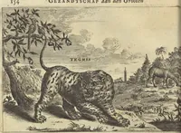 An illustration from Het gezandtschap der Neêrlandtsche Oost-Indische Compagnie, aan den grooten Tartarischen Cham, den tegenwoordigen keizer van China : waar in de gedenkwaerdigste geschiedenissen, die onder het reizen door de Sineesche landtschappen, Quantung, Kiangsi, Nanking, Xantung en Peking, en aan het keizerlyke hof te Peking, zedert den jaare 1655 tot 1657 zyn voorgevallen, op het bondigste verhandelt worden : beneffens een naauwkeurige beschryvinge der Sineesche steden, dorpen, regeering, weetenschappen, handwerken, zeden, godsdiensten, gebouwen, drachten, scheepen, bergen, gewaffen, dieren, &c. en oorlogen tegen de Tarters : verçiert met over de 150 afbeeldtsels, na 't leven in Sina (1693)