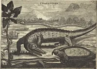 An illustration from Het gezandtschap der Neêrlandtsche Oost-Indische Compagnie, aan den grooten Tartarischen Cham, den tegenwoordigen keizer van China : waar in de gedenkwaerdigste geschiedenissen, die onder het reizen door de Sineesche landtschappen, Quantung, Kiangsi, Nanking, Xantung en Peking, en aan het keizerlyke hof te Peking, zedert den jaare 1655 tot 1657 zyn voorgevallen, op het bondigste verhandelt worden : beneffens een naauwkeurige beschryvinge der Sineesche steden, dorpen, regeering, weetenschappen, handwerken, zeden, godsdiensten, gebouwen, drachten, scheepen, bergen, gewaffen, dieren, &c. en oorlogen tegen de Tarters : verçiert met over de 150 afbeeldtsels, na 't leven in Sina (1693)