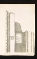 An illustration from [Architectural details (1535)
