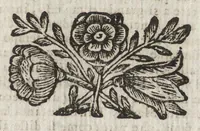 An illustration from Le glorie della gran Vergine al Sagro Monte sopra Varese, diocesi di Milano : origine, e progresso della divozione, monistero, e fabrica delle sante capelle : compendio della vita della beata Caterina, fondatrice del monistero, beata Giuliana sua prima compagna, e ven. madri sr. Benedetta Bimia e sr. Illuminata Alziati, seconda e terza abbadessa : racconto historico (1699)