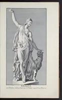 Picture 9 of 19 from Statuae insigniores (1736), leaf 24
