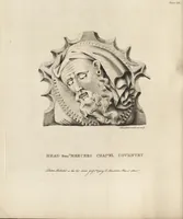 Picture 5 of 71 from The antiquaries museum : illustrating the antient architecture, painting, and sculpture of Great Britain, from the time of the Saxons to the introduction of the Grecian and Roman architecture by Inigo Jones in the reign of King James I. (1800), leaf 33