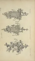 An illustration from The gentleman and cabinet-maker's director : being a large collection of the most elegant and useful designs of household furniture, in the most fashionable taste : including a great variety of chairs, cofas, beds, and couches : china-tables, dressing-tables, shaving-tables, bason-stands, and teakettle-stands : frames for marble-slabs, bureau-dressing-tables, and commodes : writing-tables, and library-tables : library-book-cases, organ-cases for private rooms, or churches, desks, and book-cases : dressing and writing-tables with book-cases, toilets, cabinets, and cloaths-presses : china-cases, china-shelves, and book-shelves : candle-stands, terms for busts, stands for china jars, and pedestals : cisterns for water, lanthorns, and chandeliers : fire-screens, brackets, and clock-cases : pier-glasses, and table-frames : girandoles, chimney-pieces, and picture-frames : stove-grates, boarders, frets, Chinese-railing, and brass-work, for furniture : and other ornaments : to which is prefixed, a short explanation of the five orders of architecture : with proper directions for executing the most difficult pieces, the mouldings being exhibited at large, and the dimensions of each design specified : the whole comprehended in two hundred copper-plates, neatly engraved ... (1762)