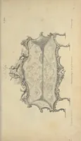 An illustration from The gentleman and cabinet-maker's director : being a large collection of the most elegant and useful designs of household furniture, in the most fashionable taste : including a great variety of chairs, cofas, beds, and couches : china-tables, dressing-tables, shaving-tables, bason-stands, and teakettle-stands : frames for marble-slabs, bureau-dressing-tables, and commodes : writing-tables, and library-tables : library-book-cases, organ-cases for private rooms, or churches, desks, and book-cases : dressing and writing-tables with book-cases, toilets, cabinets, and cloaths-presses : china-cases, china-shelves, and book-shelves : candle-stands, terms for busts, stands for china jars, and pedestals : cisterns for water, lanthorns, and chandeliers : fire-screens, brackets, and clock-cases : pier-glasses, and table-frames : girandoles, chimney-pieces, and picture-frames : stove-grates, boarders, frets, Chinese-railing, and brass-work, for furniture : and other ornaments : to which is prefixed, a short explanation of the five orders of architecture : with proper directions for executing the most difficult pieces, the mouldings being exhibited at large, and the dimensions of each design specified : the whole comprehended in two hundred copper-plates, neatly engraved ... (1762)