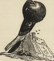 An illustration from Beeton's housewife's treasury of domestic information : comprising complete and practical instructions on the house and its furniture, artistic decoration economy, toilet, children, etiquette, domestic and fancy needlework, dressmaking and millinery, and all other household matters : with every requisite direction to secure the comfort, elegance, and prosperity of the home : a companion volume to "Mrs. Beeton's book of household management" : profusely illustrated (1879)