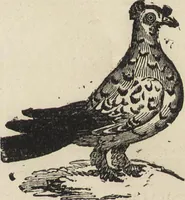 An illustration from Beeton's housewife's treasury of domestic information : comprising complete and practical instructions on the house and its furniture, artistic decoration economy, toilet, children, etiquette, domestic and fancy needlework, dressmaking and millinery, and all other household matters : with every requisite direction to secure the comfort, elegance, and prosperity of the home : a companion volume to "Mrs. Beeton's book of household management" : profusely illustrated (1879)