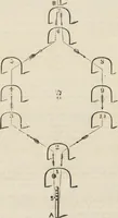 An illustration from Beeton's housewife's treasury of domestic information : comprising complete and practical instructions on the house and its furniture, artistic decoration economy, toilet, children, etiquette, domestic and fancy needlework, dressmaking and millinery, and all other household matters : with every requisite direction to secure the comfort, elegance, and prosperity of the home : a companion volume to "Mrs. Beeton's book of household management" : profusely illustrated (1879)