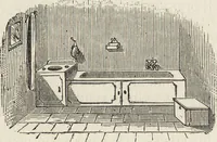 Picture 183 of 362 from Beeton's housewife's treasury of domestic information : comprising complete and practical instructions on the house and its furniture, artistic decoration economy, toilet, children, etiquette, domestic and fancy needlework, dressmaking and millinery, and all other household matters : with every requisite direction to secure the comfort, elegance, and prosperity of the home : a companion volume to "Mrs. Beeton's book of household management" : profusely illustrated (1879), leaf 443