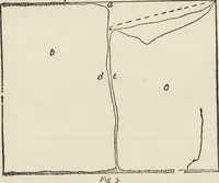 Picture 207 of 362 from Beeton's housewife's treasury of domestic information : comprising complete and practical instructions on the house and its furniture, artistic decoration economy, toilet, children, etiquette, domestic and fancy needlework, dressmaking and millinery, and all other household matters : with every requisite direction to secure the comfort, elegance, and prosperity of the home : a companion volume to "Mrs. Beeton's book of household management" : profusely illustrated (1879), leaf 767