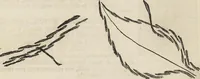 An illustration from Beeton's housewife's treasury of domestic information : comprising complete and practical instructions on the house and its furniture, artistic decoration economy, toilet, children, etiquette, domestic and fancy needlework, dressmaking and millinery, and all other household matters : with every requisite direction to secure the comfort, elegance, and prosperity of the home : a companion volume to "Mrs. Beeton's book of household management" : profusely illustrated (1879)