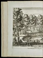 Picture 52 of 55 from Villa Pamphilia : eiusque palatium, cum suis prospectibus, statuae, fontes, vivaria, theatra, areolae, plantarum, viarumque ordines, cum eiusdem villae absoluta delineatione (1650), leaf 177