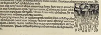 Picture 10 of 14 from Registrum huius operis libri cronicarum cu[m] figuris et ymagi[ni]bus ab inicio mu[n]di, leaf 456