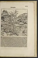 An illustration from Registrum huius operis libri cronicarum cu[m] figuris et ymagi[ni]bus ab inicio mu[n]di