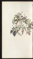 An illustration from Arabesques mythologiques, ou, Les attributs de toutes les divinités de la fable : en 54 planches gravées d'après les dessins coloriés de Madame de Genlis ... : ouvrage fait pour servir à l'éducation de la jeunesse (1810)