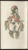 An illustration from Arabesques mythologiques, ou, Les attributs de toutes les divinités de la fable : en 54 planches gravées d'après les dessins coloriés de Madame de Genlis ... : ouvrage fait pour servir à l'éducation de la jeunesse (1810)